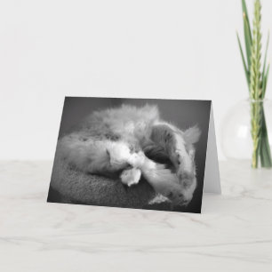 Cartão Cat para dormir