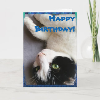 Cartão Cat Photo Happy Birthday Card