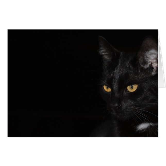 Cartão - Cat - Purr (Frente Horizontal)