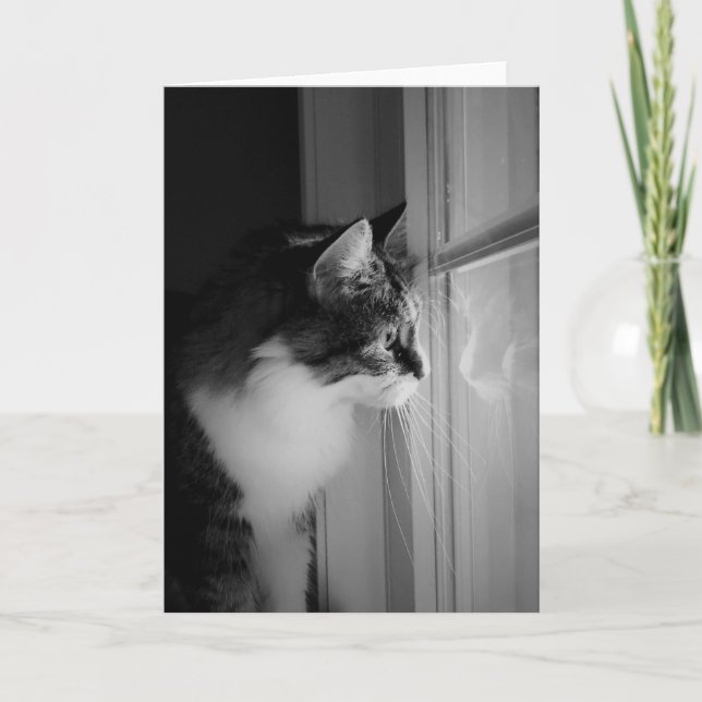 Cartão Cat Reflection Blank Greeting Card (Frente)