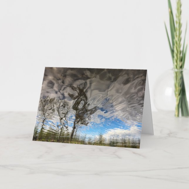 Cartão Cat Rock Trees Blank Card (Frente)