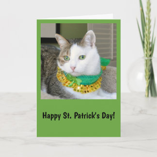 Cartão Cat St. Patrick's day card