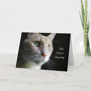 Cartão Cat Sympathy Card