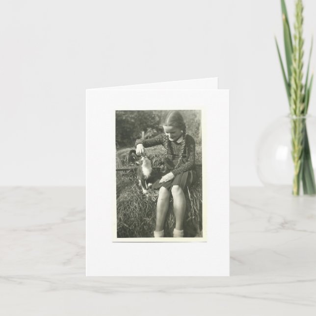 CARTÃO CAT SYMPATHY CARD (Frente)