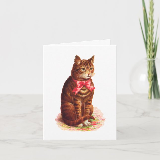 Cartão Cat Sympathy Card - Customizable (Frente)