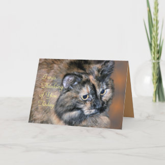 Cartão Cat Tazzie-customize any occasion