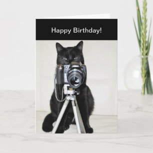 Cartão Cat with the camera