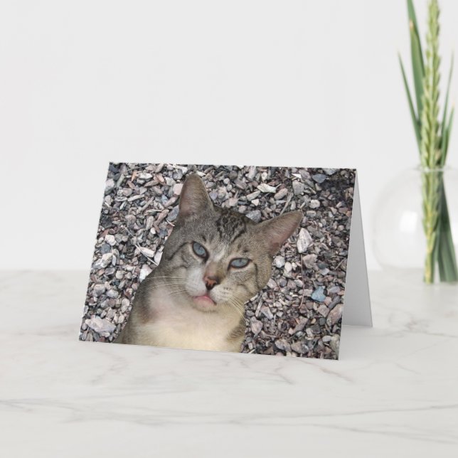 Cartão Cat World Rocks with You Anniversary Card (Frente)