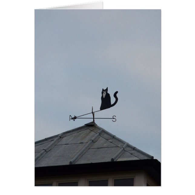 Cartão Cata-Vento Gato Preto (Frente)