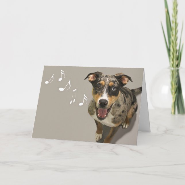 Cartão Catahoula Singing Card by Focus for a Causa (Frente)