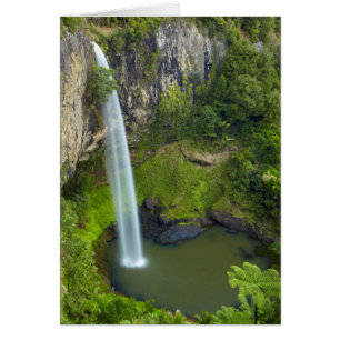 Cartão Cataratas Bridal Veil, Nova Zelândia
