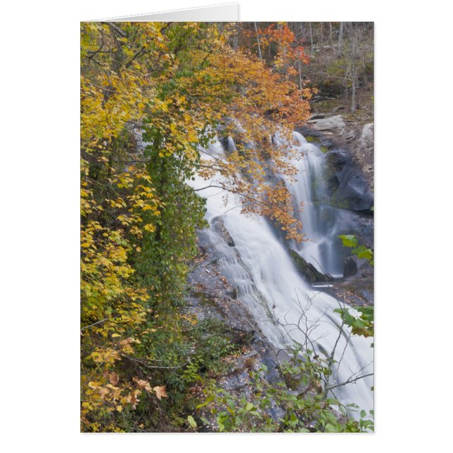 Cartão Cataratas do Rio Bald (Frente)