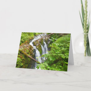 Cartão Cataratas Sol Duc II no Parque Nacional Olímpico