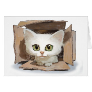 Cartão Catbox