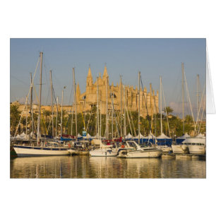 Cartão Catedral e marina, Palma, Mallorca, Espanha 2