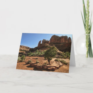 Cartão Cathedral Rock Sedona Greeting Card