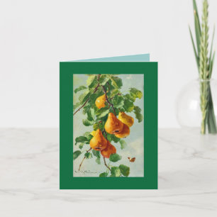 Cartão Catherine Klein pears.  NOTE CARD GRN