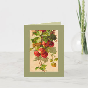 Cartão Catherine Klein strawberries NOTE CARD DKGR