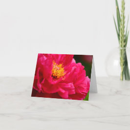 Cartão Cathy's Bush Peonie 2 2013
