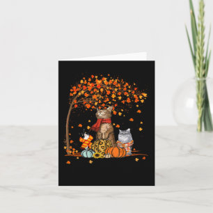 Cartão Cat's Fall Y'all Pumpkins Autumn Halloween Cat