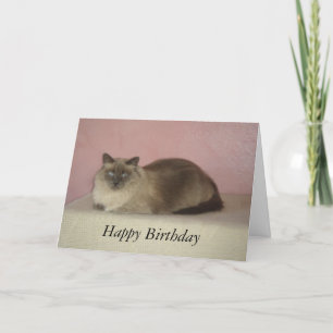 Cartão Cat's Meow Birthday