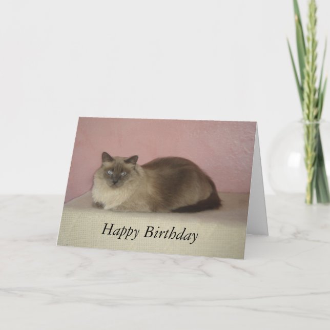 Cartão Cat's Meow Birthday (Frente)