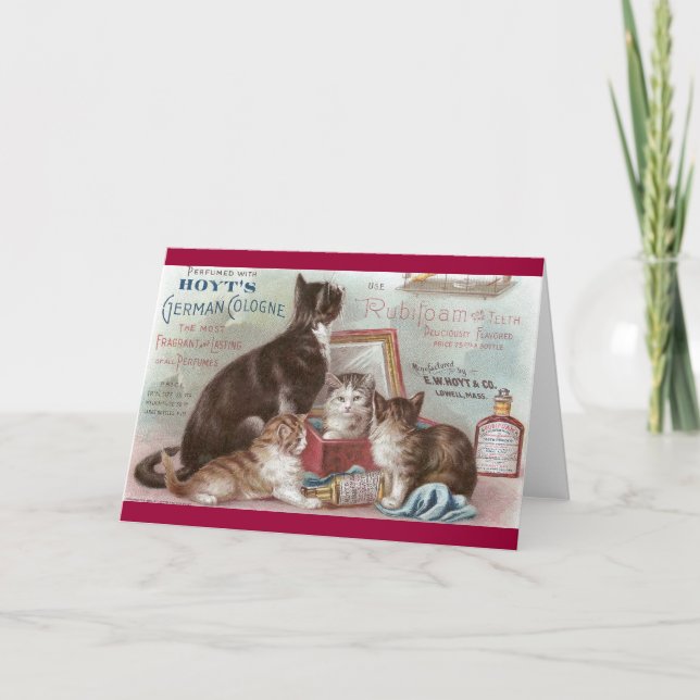 Cartão Cats Selling Cologne Victorian Trade Card (Frente)