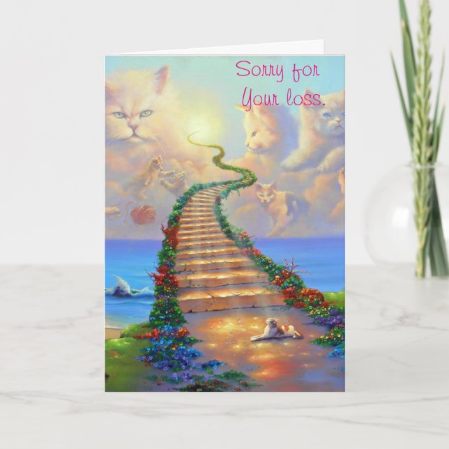 Cartão Cats Sympathy Card (Frente)