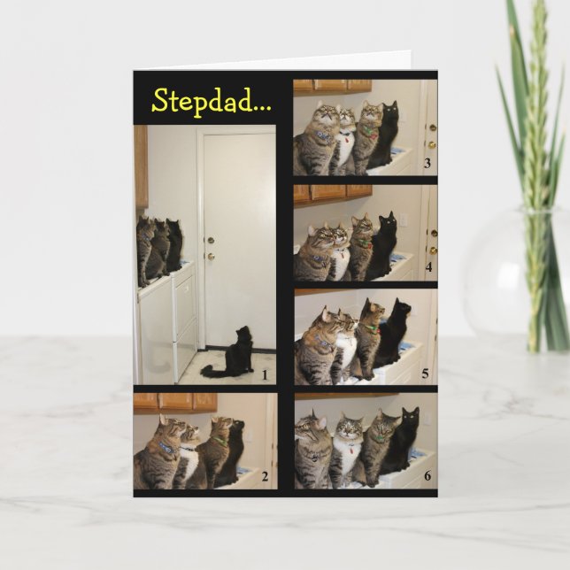 Cartão Cats vs. Fly Stepdad Father's Day Card (Frente)