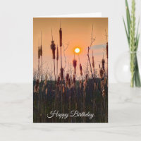 Cattails e Sunset Birthday
