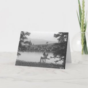 Cartão Cattle by a pond with two cowboys.