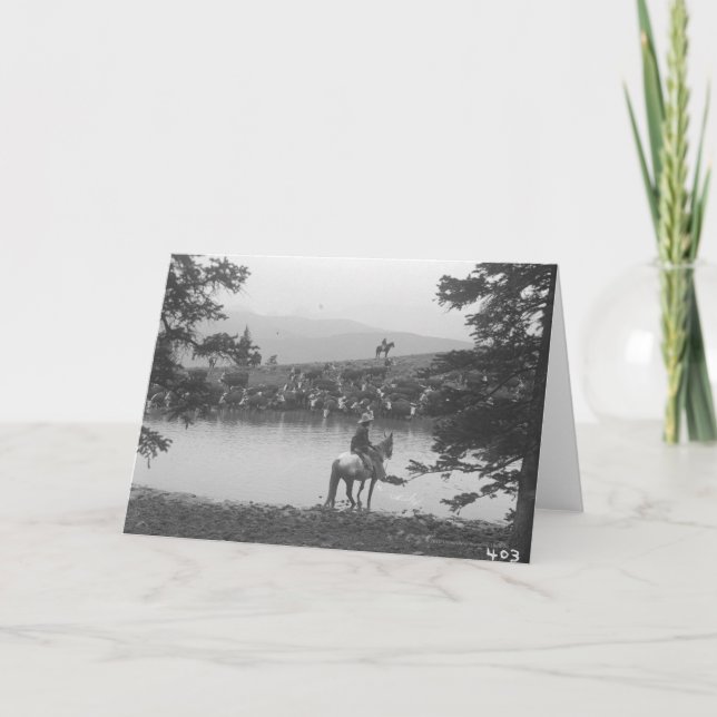 Cartão Cattle by a pond with two cowboys. (Frente)