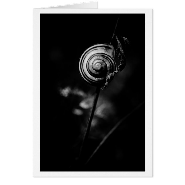 Cartão cauda de caracol (Frente)