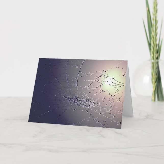 Cartão Caught! (Frente)