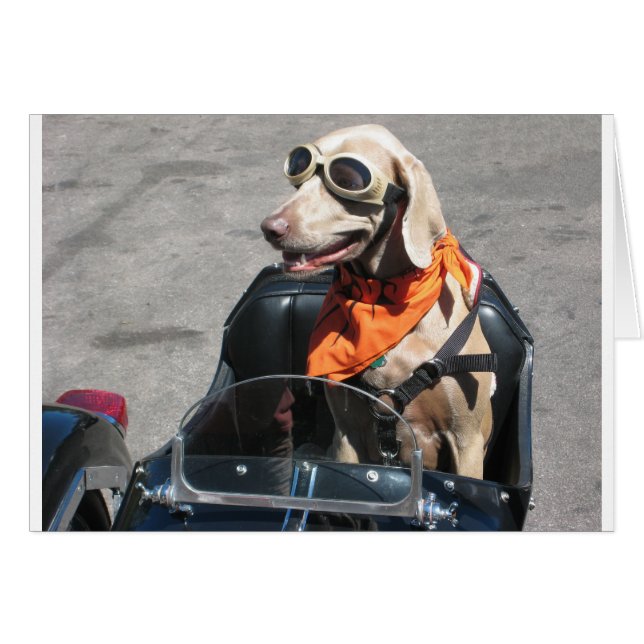 Cartão Cavaleiro fácil (Frente Horizontal)