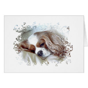 Cartão Cavaleiro Rei Charles Spaniel