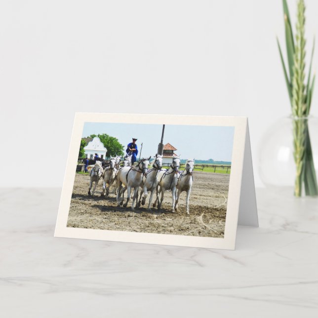 Cartão Cavalgada húngara (Frente)
