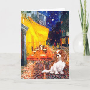 Cartão Cavalier 2 (Bl) - Terrace Cafe