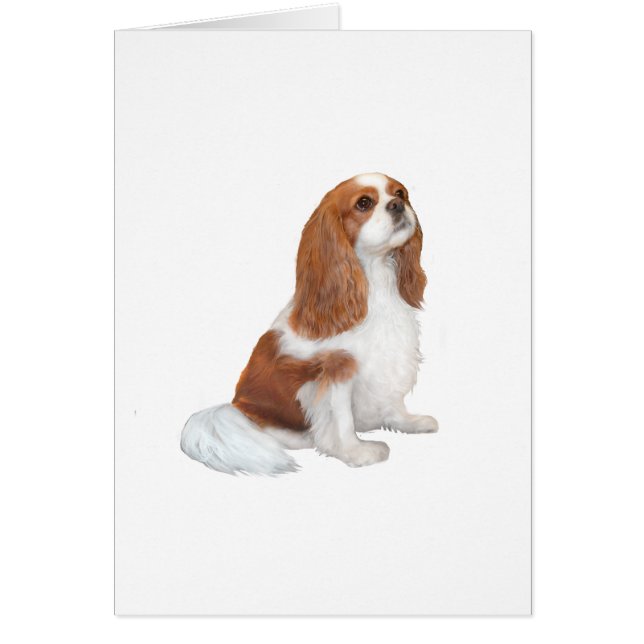 Cartão Cavalier A1 - Blenheim (F) (Frente)