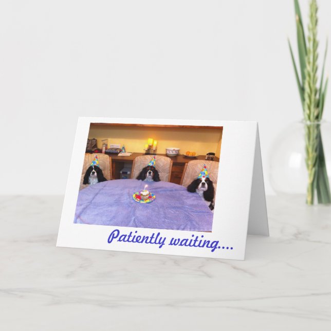 Cartão Cavalier Birthday Wishes (Frente)