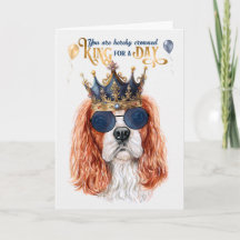 Cavalier King Charles Dog King para um Aniversário