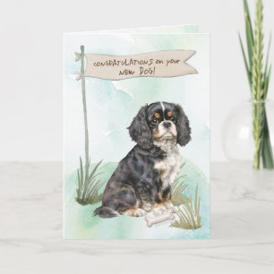 Cartão Cavalier King Charles Parabéns novo cachorro