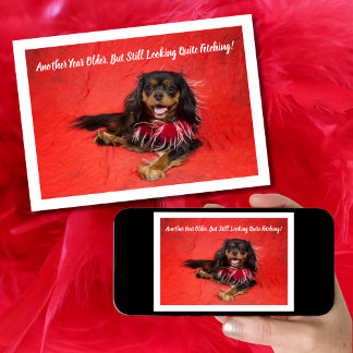 Cartão Cavalier King Charles Preto e Bege Boa de Aniversá