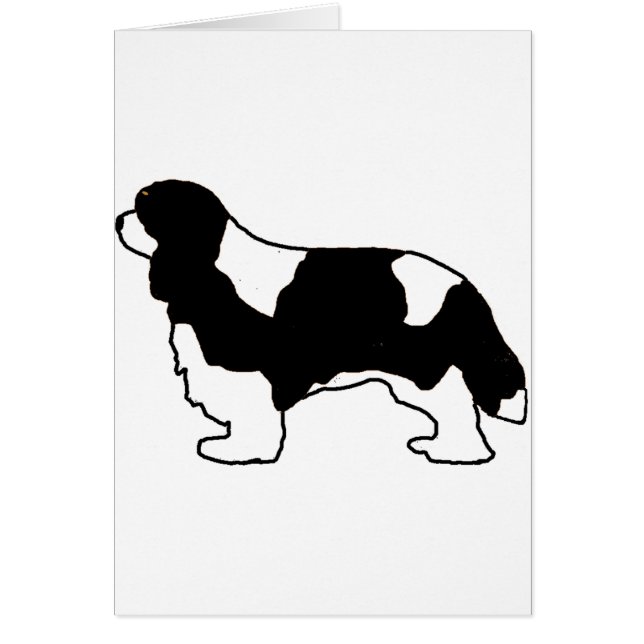 Cartão Cavalier King Charles silo preto e branco (Frente)