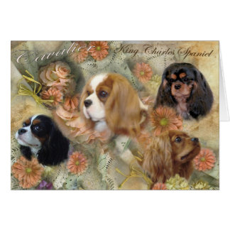 Cartão Cavalier King Charles Spaniel