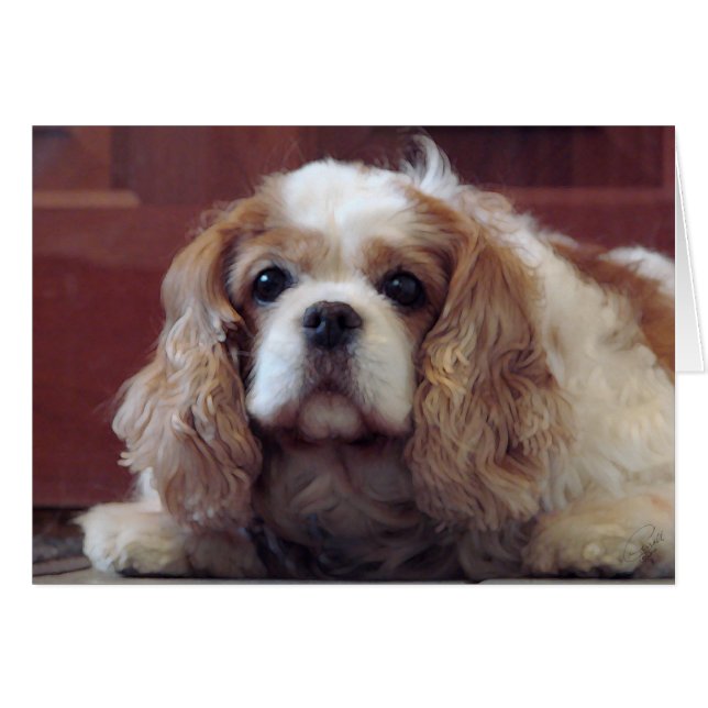 Cartão Cavalier King Charles Spaniel (Frente Horizontal)