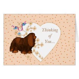 Cartão Cavalier King Charles Spaniel