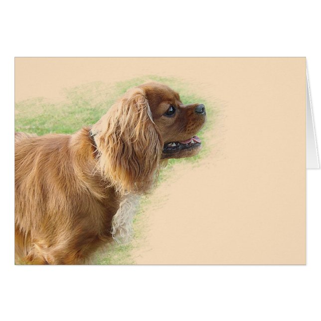 Cartão Cavalier King Charles Spaniel (Frente Horizontal)