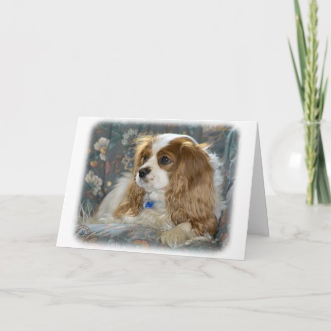 Cartão Cavalier King Charles Spaniel 8R16D-01 (Frente)