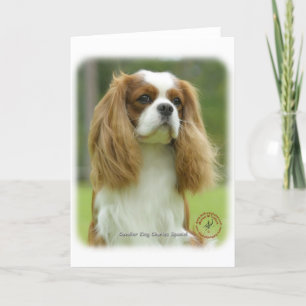 Cartão Cavalier King Charles Spaniel 9F097D-08